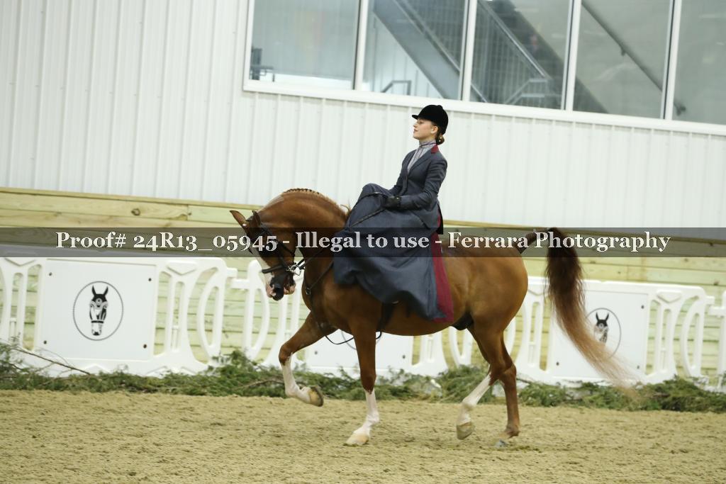Proof 24R13_05945