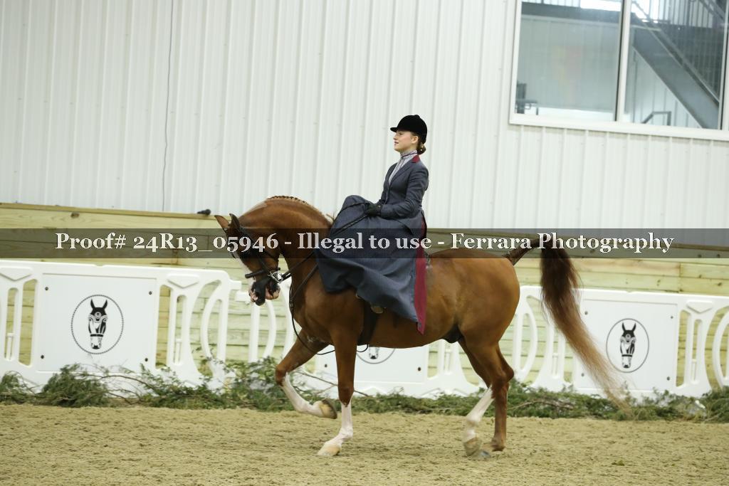 Proof 24R13_05946