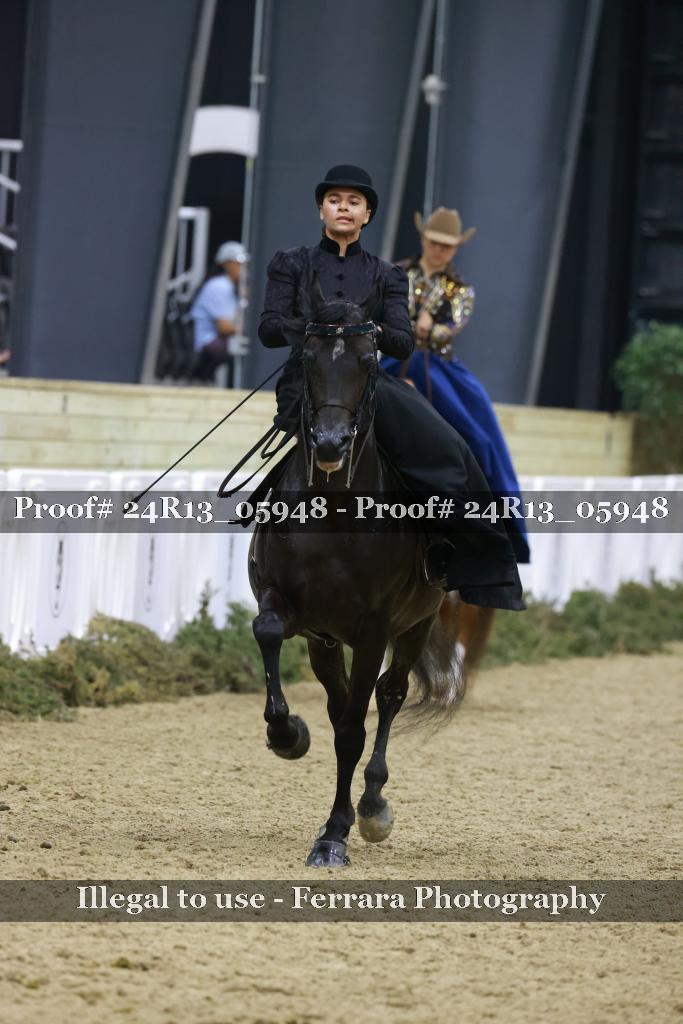 Proof 24R13_05948