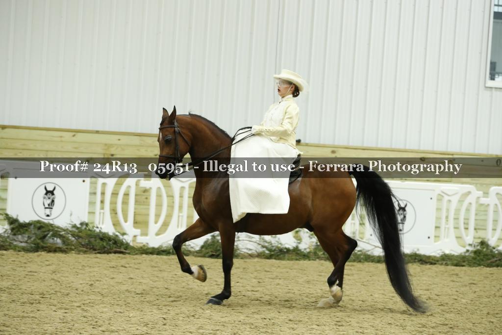 Proof 24R13_05951
