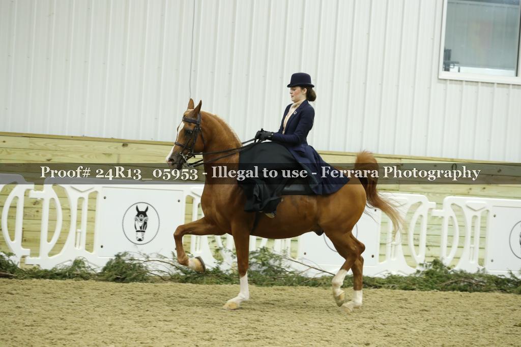 Proof 24R13_05953