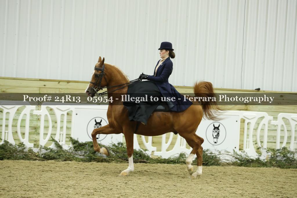 Proof 24R13_05954