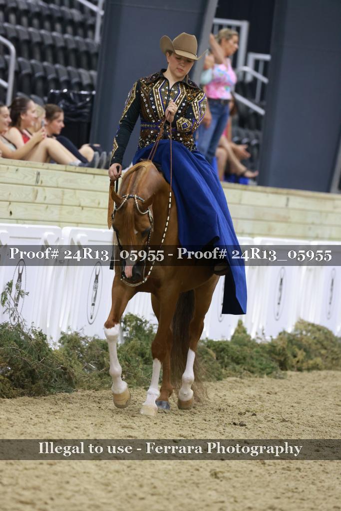Proof 24R13_05955