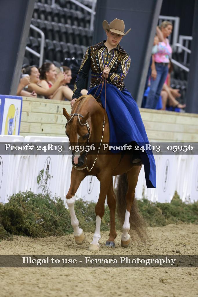 Proof 24R13_05956