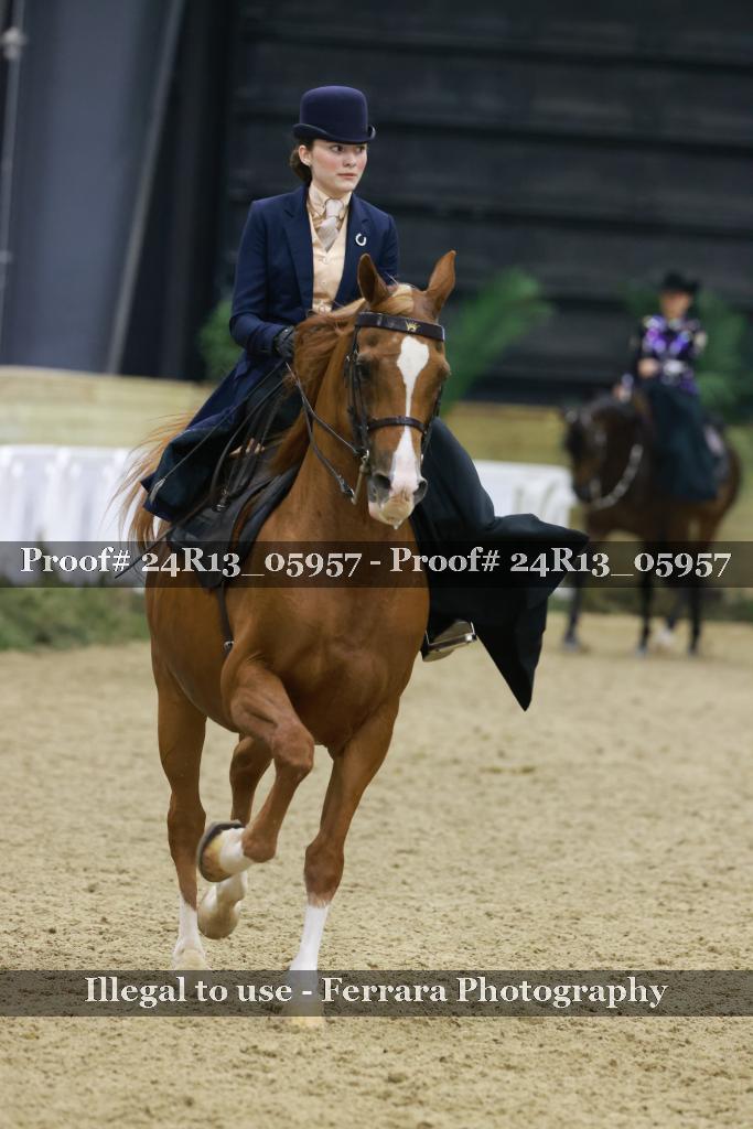 Proof 24R13_05957