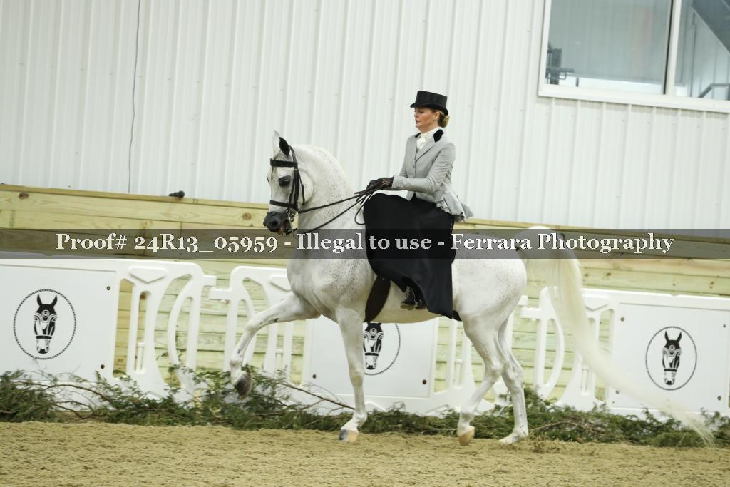 Proof 24R13_05959