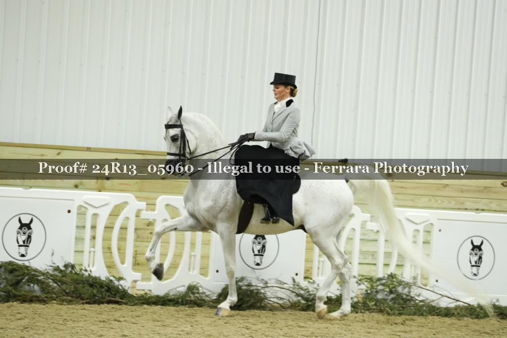 Proof 24R13_05960