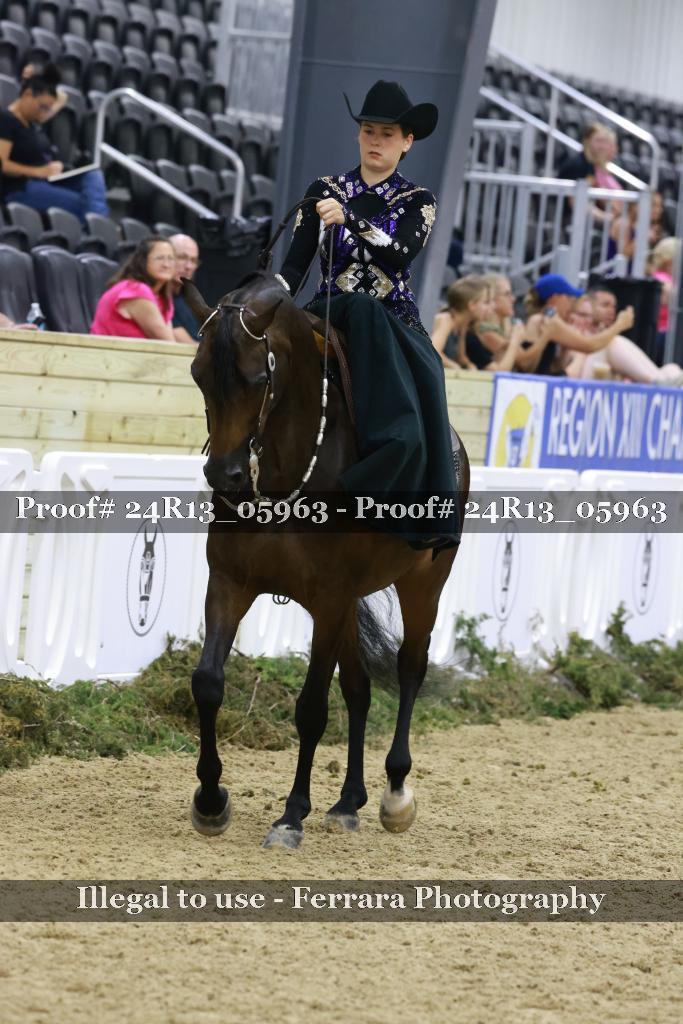 Proof 24R13_05963