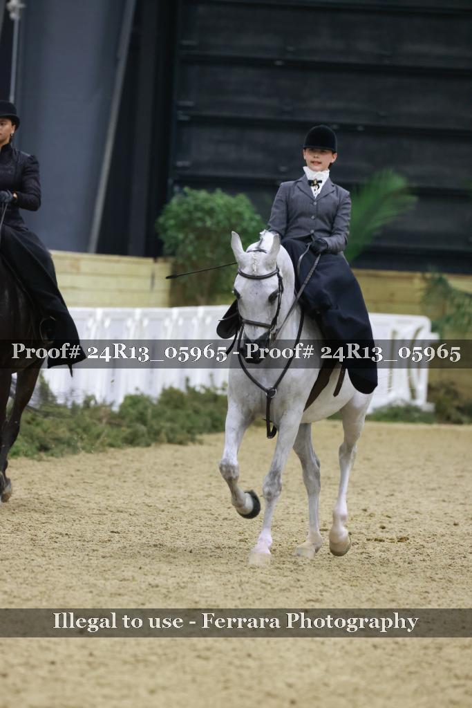 Proof 24R13_05965
