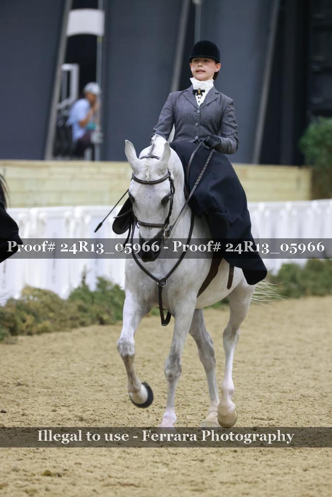Proof 24R13_05966