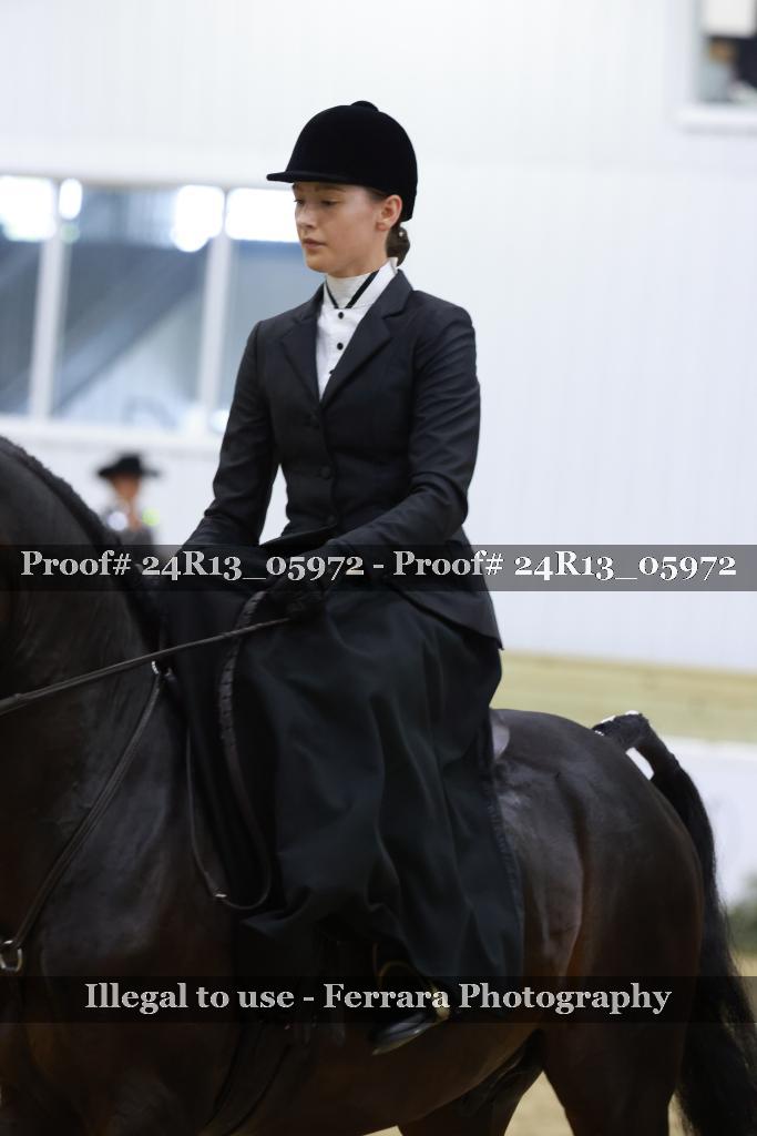 Proof 24R13_05972