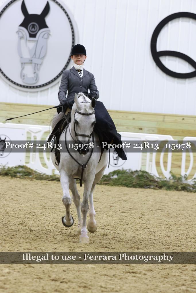 Proof 24R13_05978