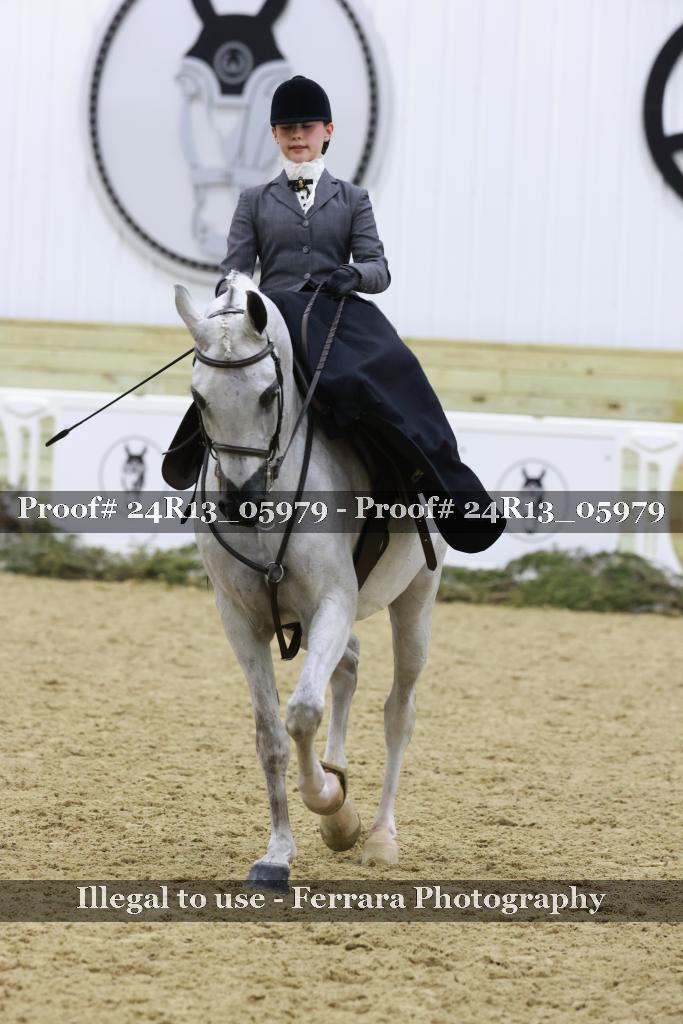 Proof 24R13_05979