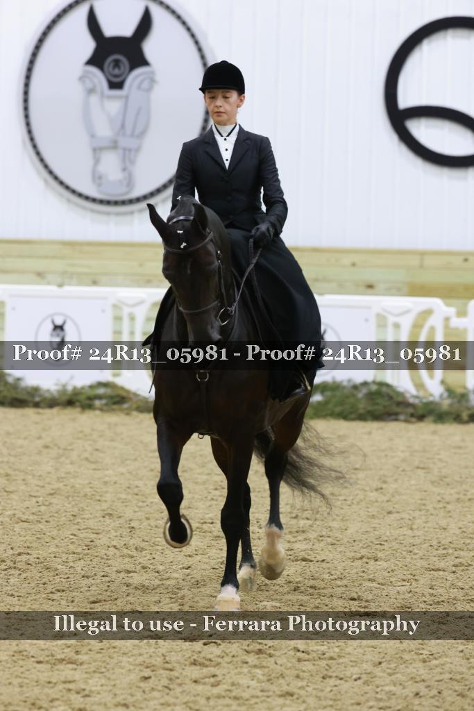 Proof 24R13_05981