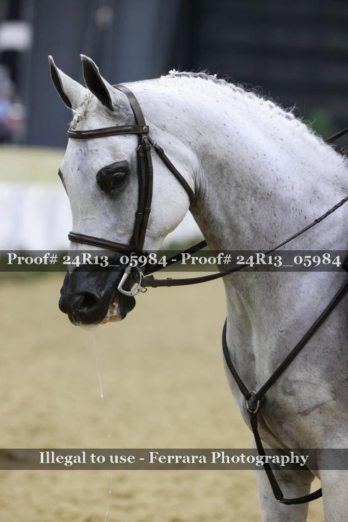 Proof 24R13_05984