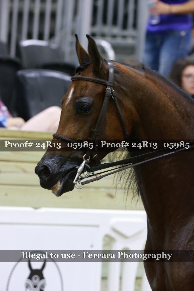 Proof 24R13_05985