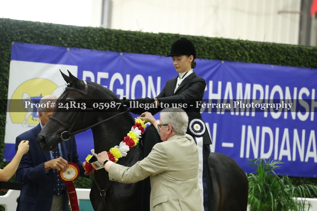 Proof 24R13_05987