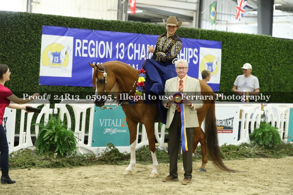 Proof 24R13_05995