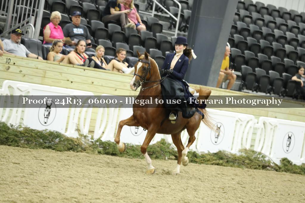 Proof 24R13_06000