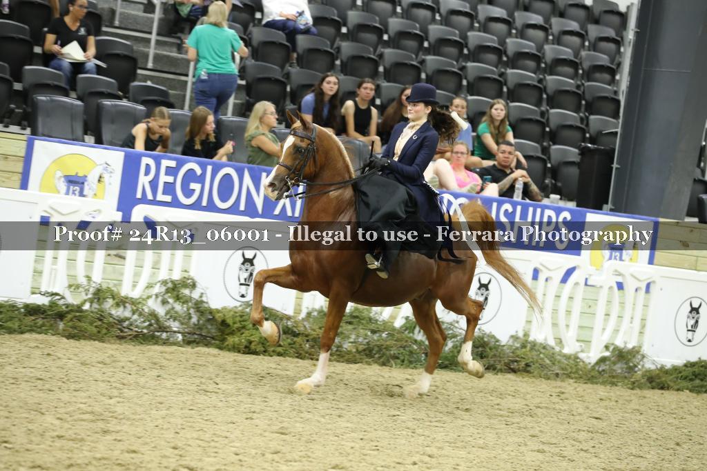 Proof 24R13_06001