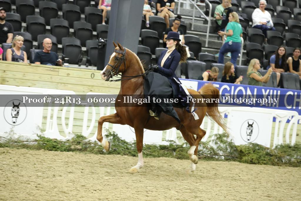 Proof 24R13_06002