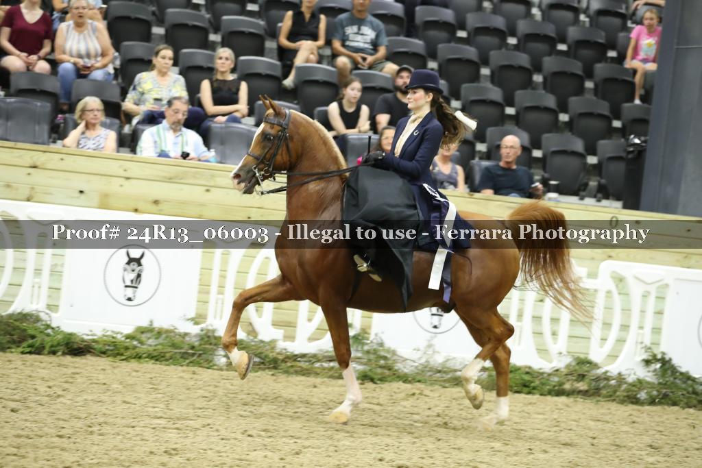 Proof 24R13_06003
