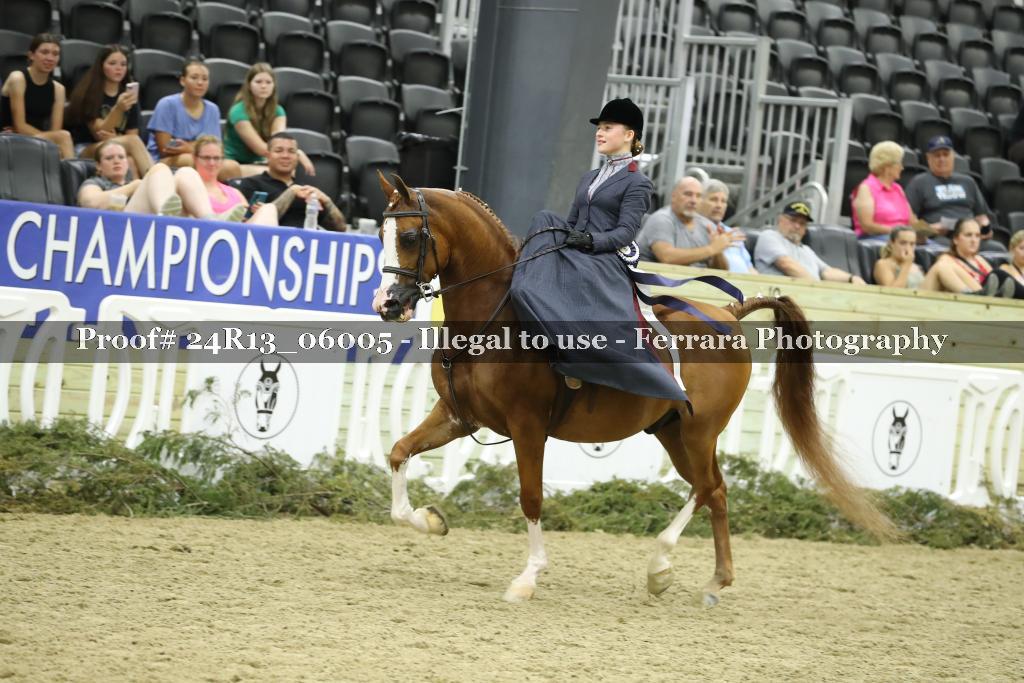 Proof 24R13_06005