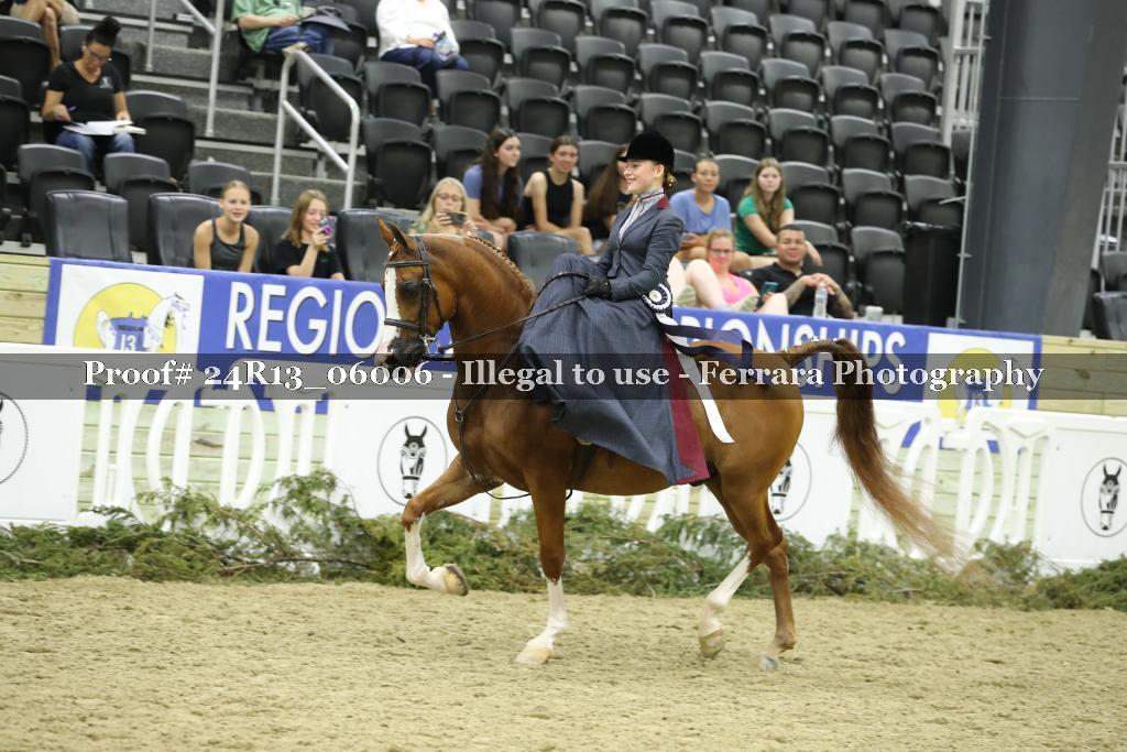 Proof 24R13_06006