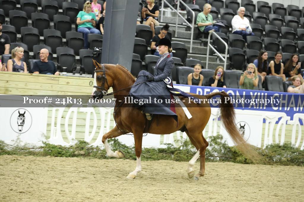 Proof 24R13_06007