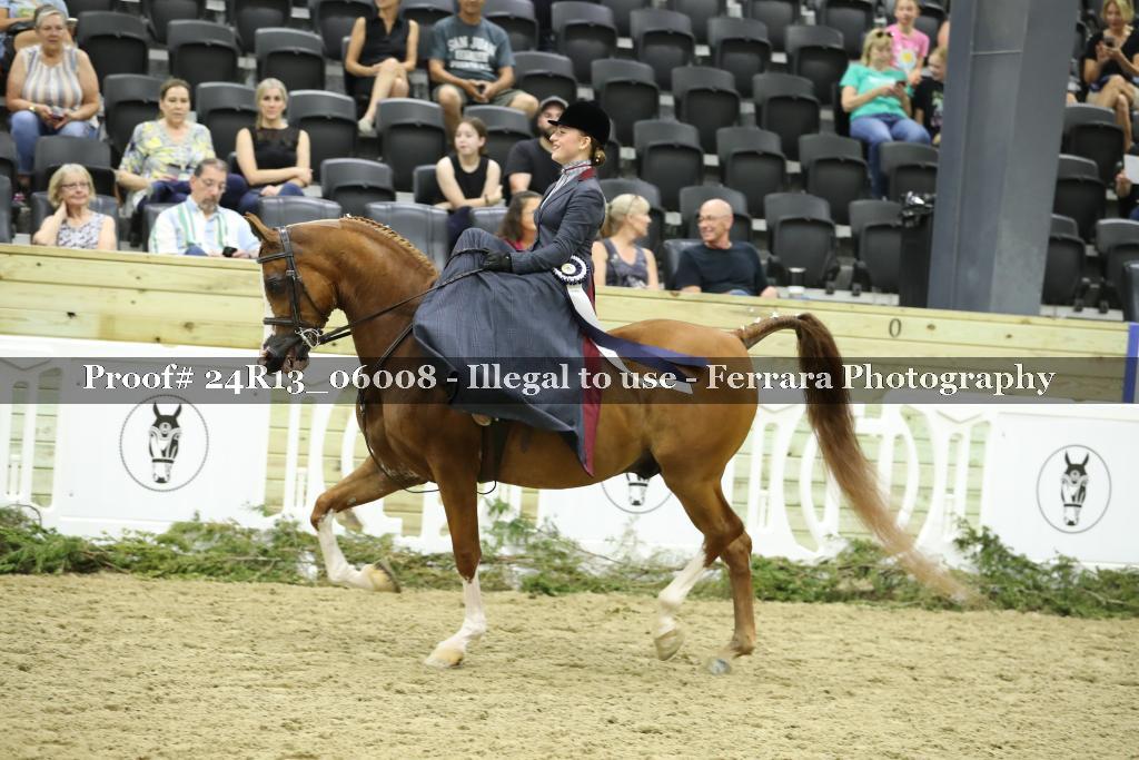 Proof 24R13_06008