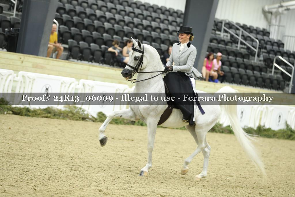 Proof 24R13_06009