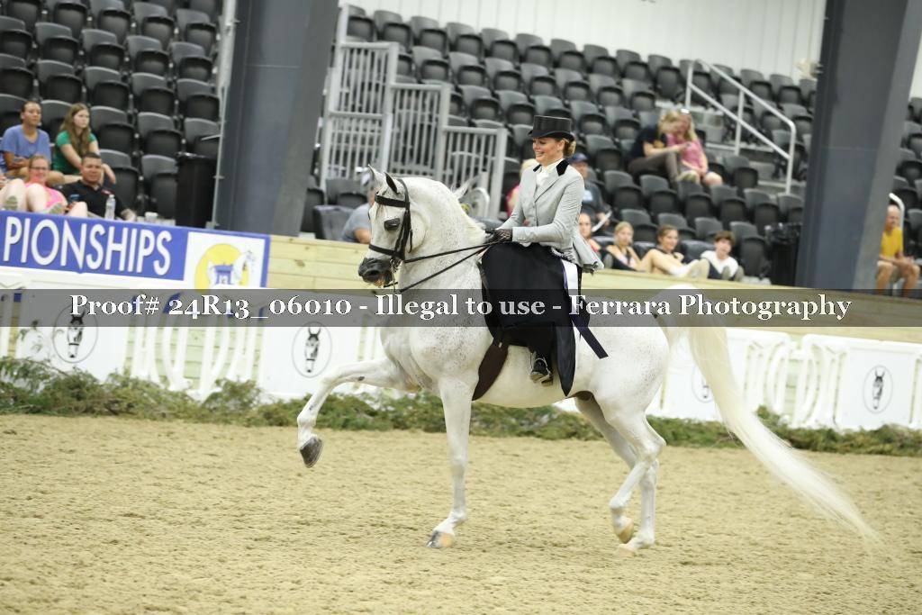 Proof 24R13_06010
