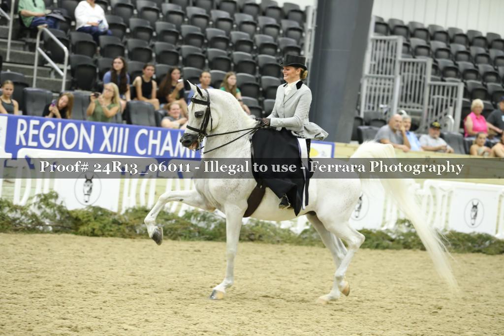 Proof 24R13_06011