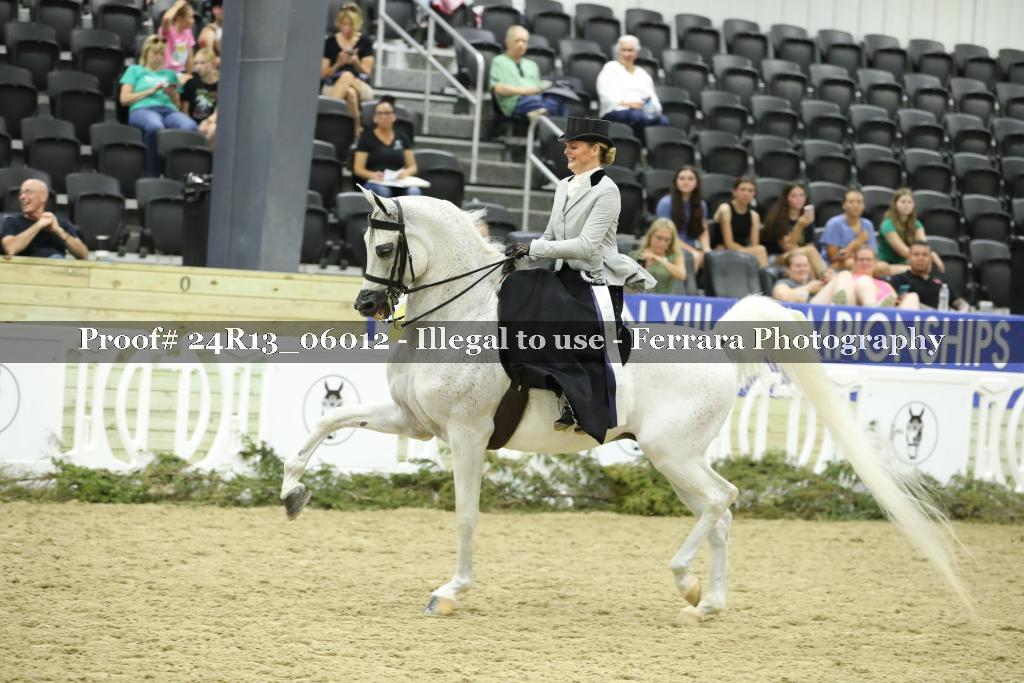 Proof 24R13_06012