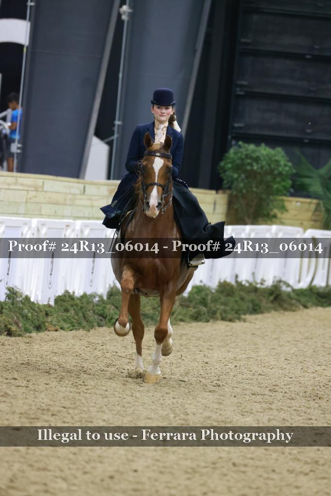 Proof 24R13_06014