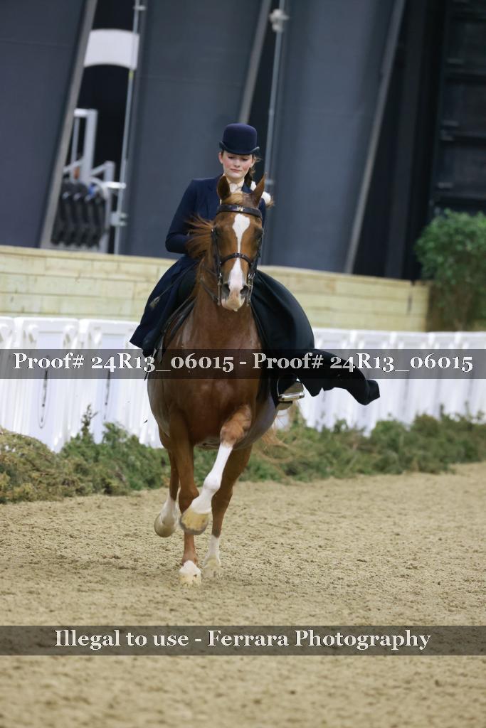 Proof 24R13_06015