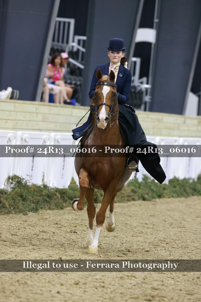 Proof 24R13_06016