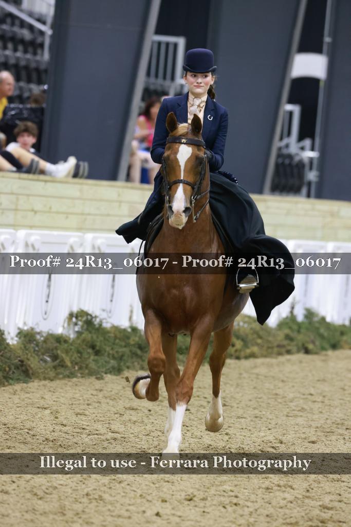 Proof 24R13_06017
