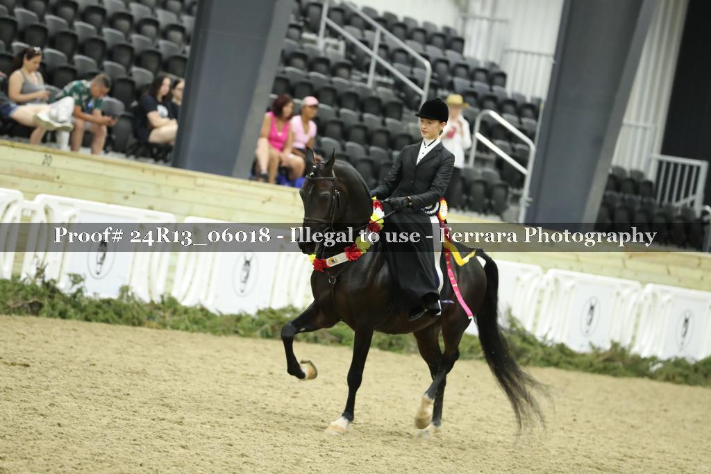 Proof 24R13_06018