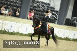 24R13_06018 proof