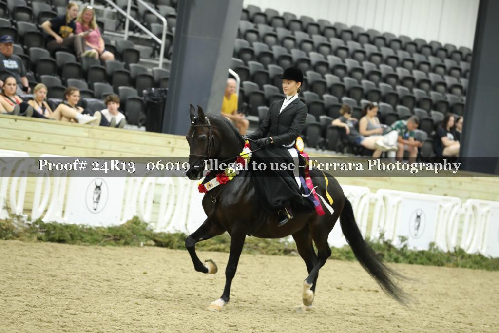 Proof 24R13_06019