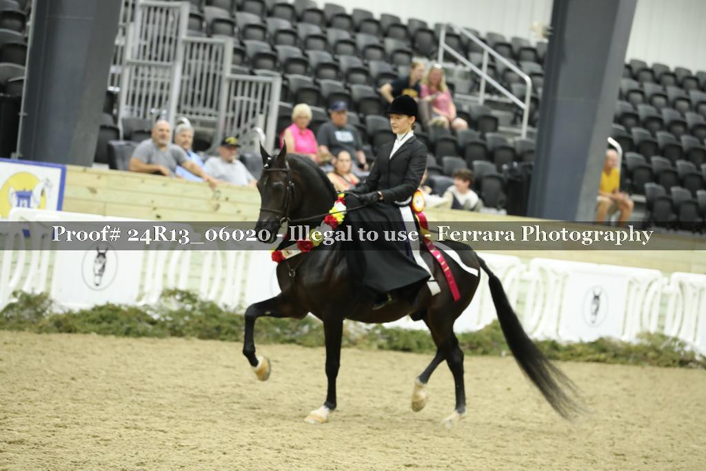 Proof 24R13_06020