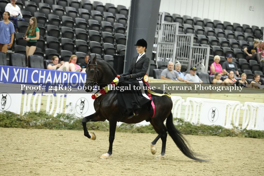 Proof 24R13_06021