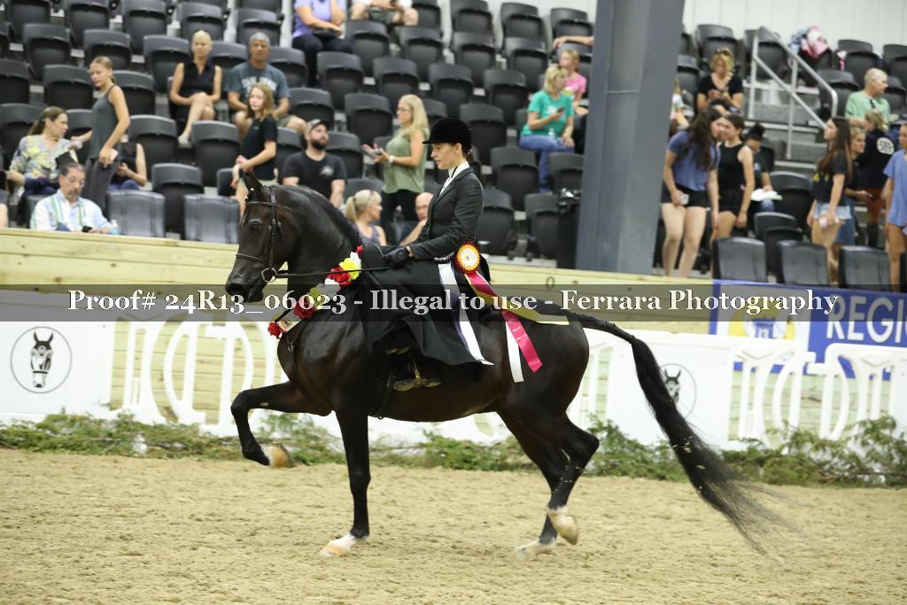 Proof 24R13_06023