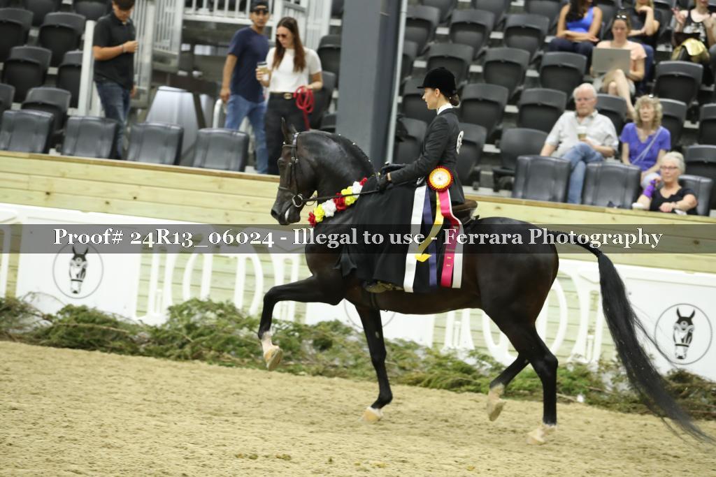 Proof 24R13_06024