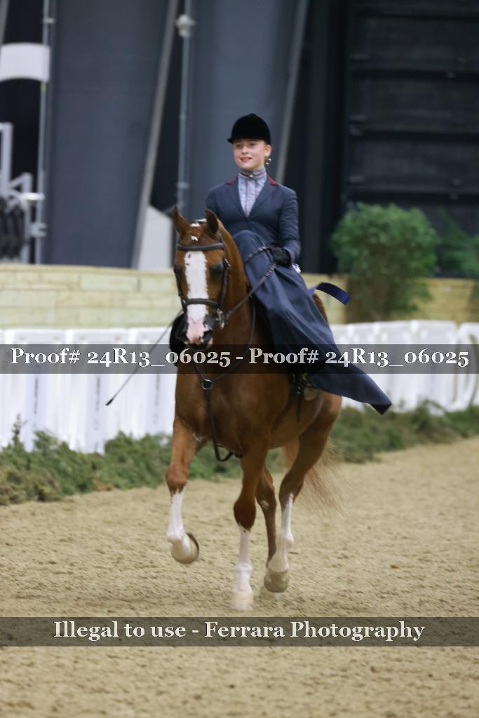 Proof 24R13_06025