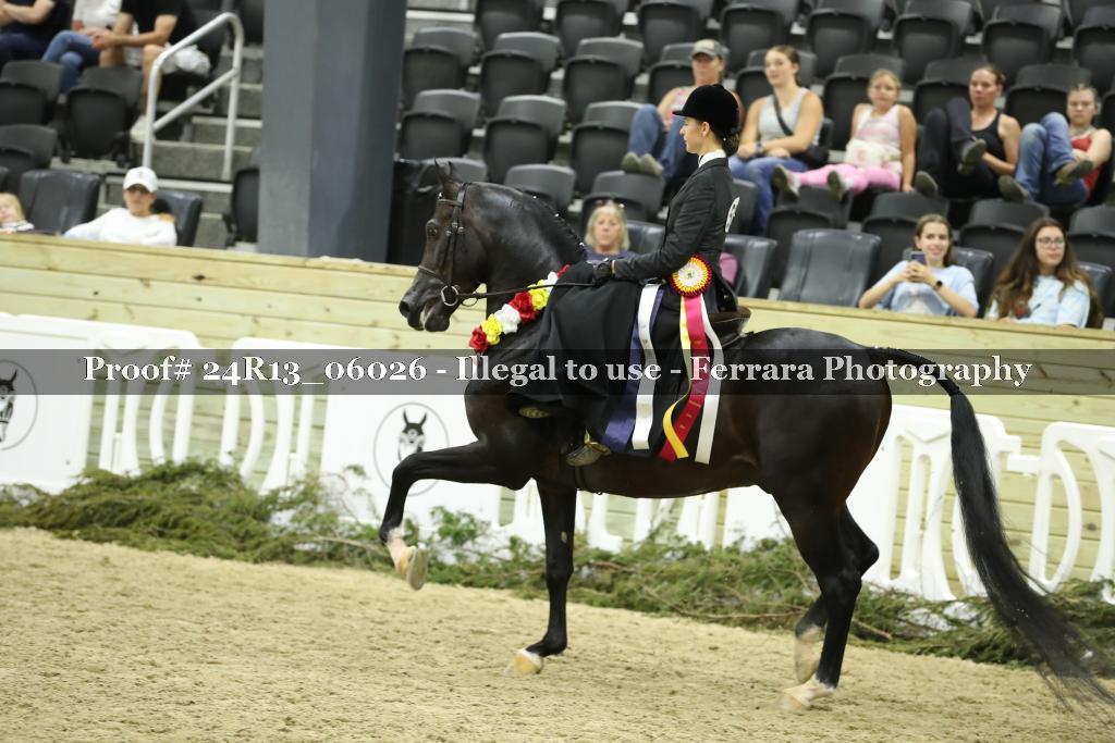 Proof 24R13_06026