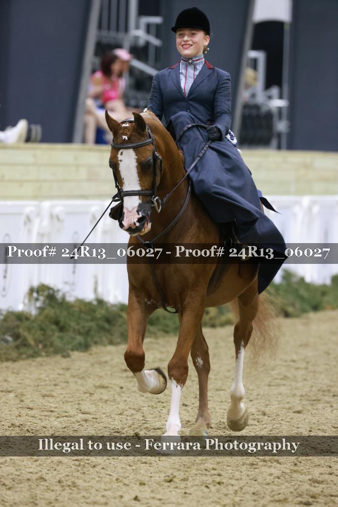 Proof 24R13_06027