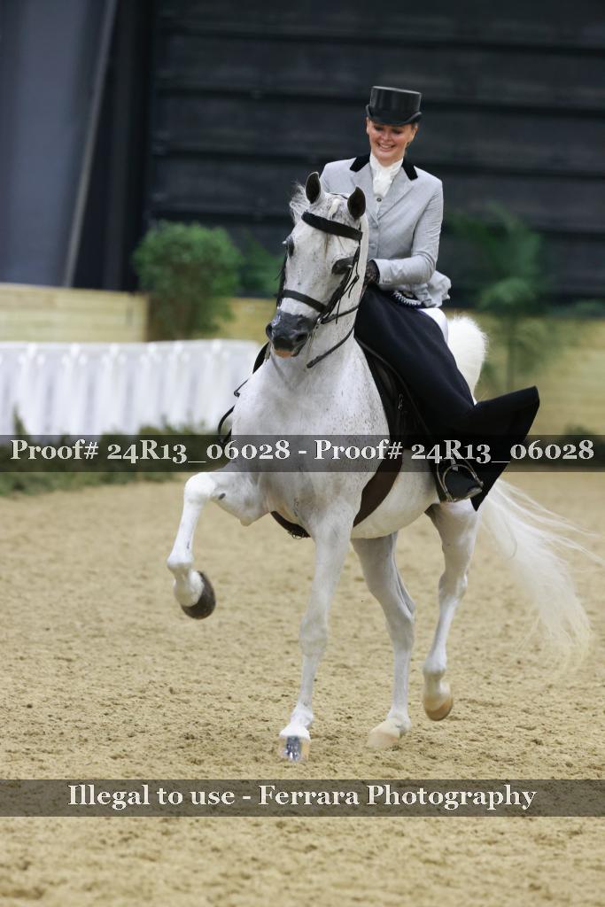 Proof 24R13_06028