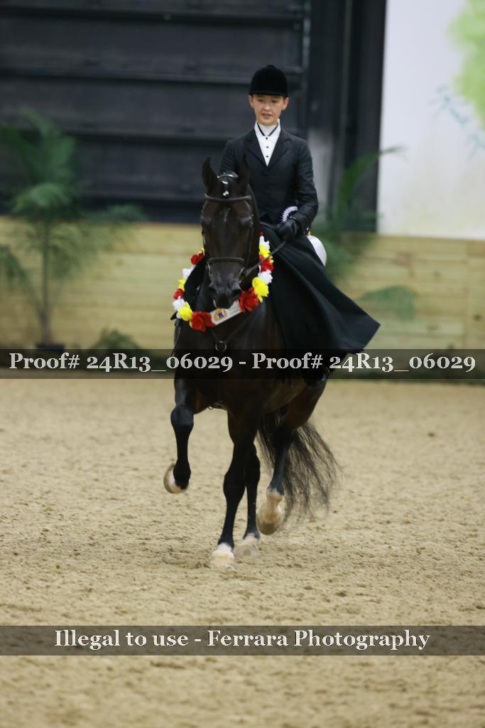 Proof 24R13_06029